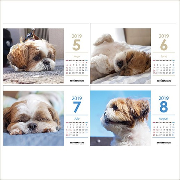 2019年シーズー親子の卓上カレンダー 5枚目の画像