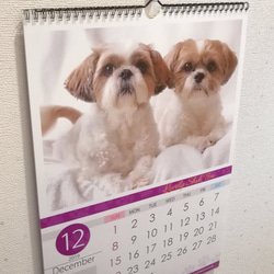 2019年シーズー親子の壁掛けA3カレンダー 3枚目の画像