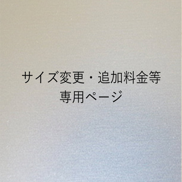 追加料金等専用ページ 1枚目の画像