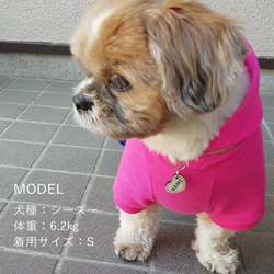 両面ハート型の迷子札（犬猫の名札、ネームプレート） 3枚目の画像