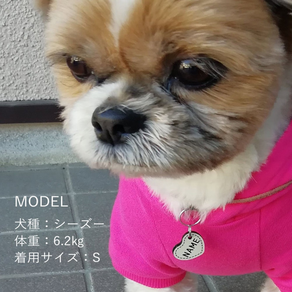 両面ハート型の迷子札（犬猫の名札、ネームプレート） 4枚目の画像