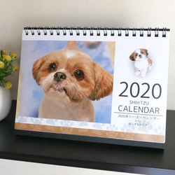 2020年 シーズー親子の卓上カレンダー　モデル：ぽんず＆かぼす 1枚目の画像