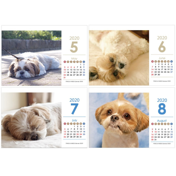 2020年 シーズー親子の卓上カレンダー　モデル：ぽんず＆かぼす 6枚目の画像