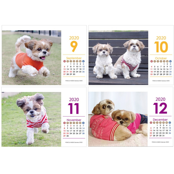 2020年 シーズー親子の卓上カレンダー　モデル：ぽんず＆かぼす 7枚目の画像
