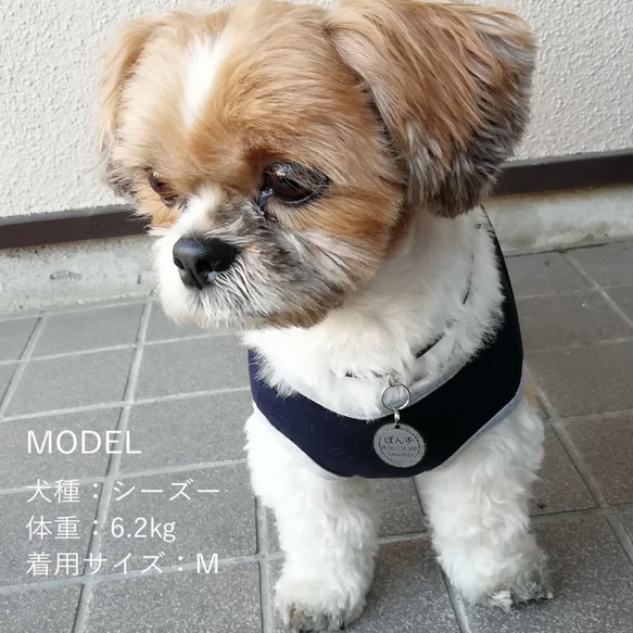 アクリル製迷子札 エレガントサークル メタリック（犬猫の名札、ネームプレート） 2枚目の画像