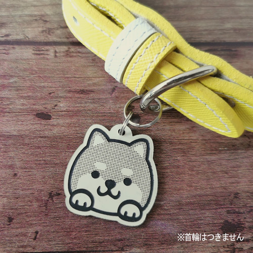 柴犬の迷子札 両面タイプ（犬の名札、ネームプレート） ペット服