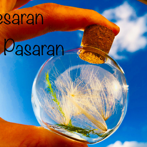 幸せを呼び込むかもしれないケセランパサラン 幸せを呼び込むかもしれないケセランパサラン 幸せを呼ぶ♥ケサラン