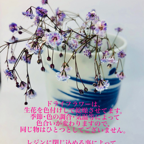 かすみ草ドライフラワーレジンピアス ピアス（フック・チェーン