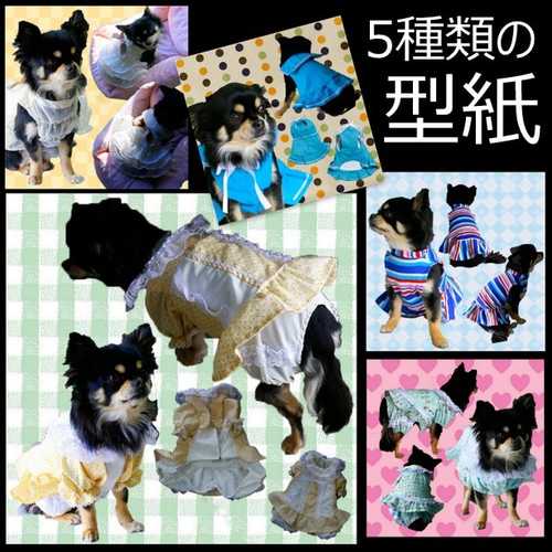 5種類の犬の服の型紙 トイプーのくるみサイズ首24cm着丈