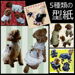 5種類の犬の服の型紙 シーズーのヒカサイズ首37cm 着丈（ワンピース部分）34～36cm オリジナル 犬 服 パターン 2枚目の画像