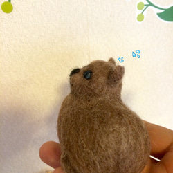 びっくりしたにゃん！ 3枚目の画像