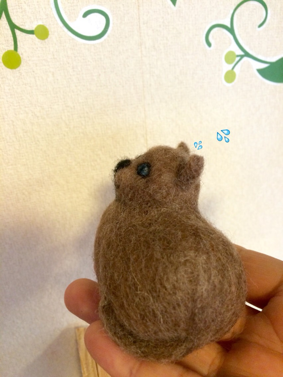 びっくりしたにゃん！ 3枚目の画像