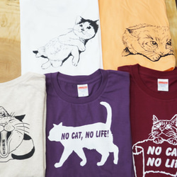 カスタマイズ半袖Ｔシャツ。トラ猫　ＮＯ　ＣＡＴ、ＮＯ　ＬＩＦＥ！　XLサイズ以下 8枚目の画像