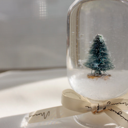 會下雪的聖誕水晶球（2color)/浮游花標本 第7張的照片