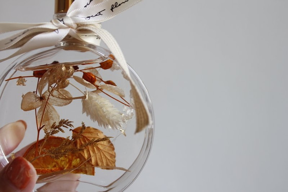 【免費客製】焦糖栗子的寶物—浮游花標本 / 聖誕節禮物 第2張的照片