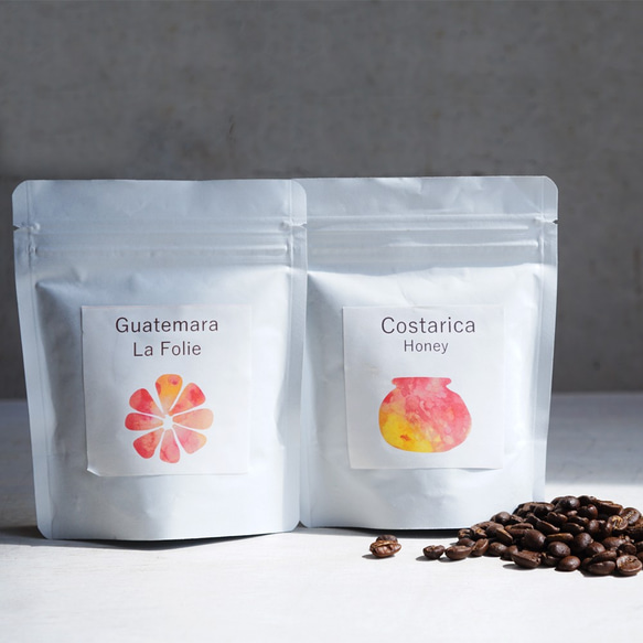 コーヒー豆　お試しセット　コスタリカ産とグアテマラ産　コーヒー　珈琲 1枚目の画像