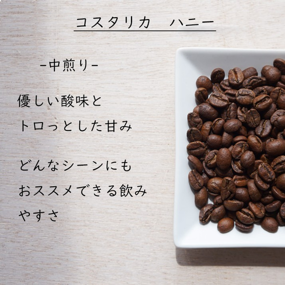 コーヒー豆　お試しセット　コスタリカ産とグアテマラ産　コーヒー　珈琲 2枚目の画像