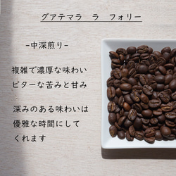 コーヒー豆　お試しセット　コスタリカ産とグアテマラ産　コーヒー　珈琲 4枚目の画像