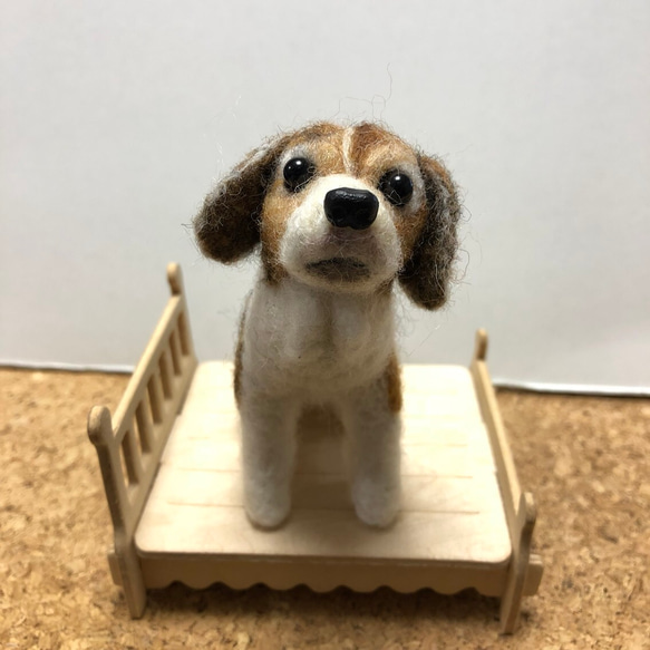 mei様 オーダー品】 羊毛フェルト tetomama 通販｜Creema(クリーマ 