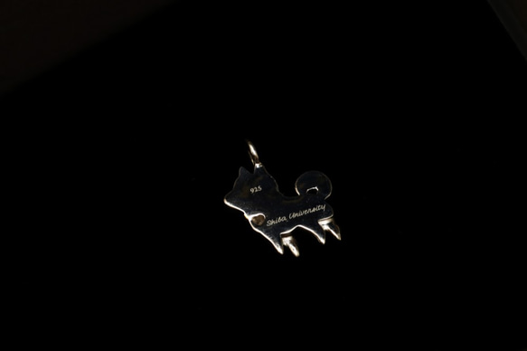 【柴犬大學】叮噹柴鎖骨鍊 施華洛世奇鑽 情人節禮物 925純銀 柴犬項鍊 第2張的照片