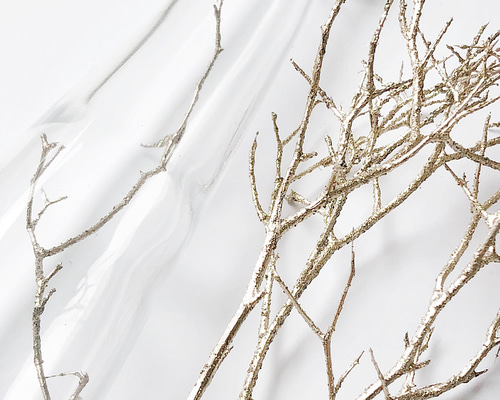 1_8654af54917be8f83652633973f0