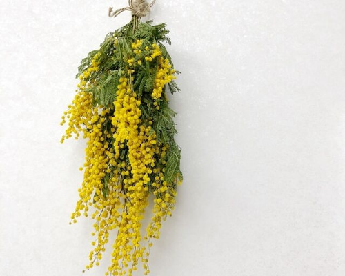 専用＊シックブラウン　ミモザ春のフェイクスワッグ 楽天市場】スワッグ ミモザの通販