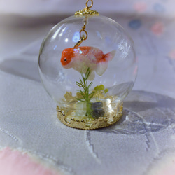 超 激レア ゆらゆら 金魚草 0_e987a99d331c8065e3afdeefef0f