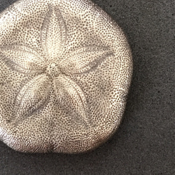 ウニのペンダント （大）《受注制作》 1枚目の画像