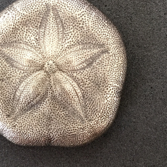 ウニのペンダント （大）《受注制作》 1枚目の画像