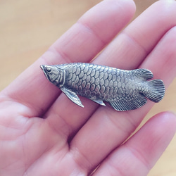 アロワナのブローチ【SV999】《受注制作》 3枚目の画像