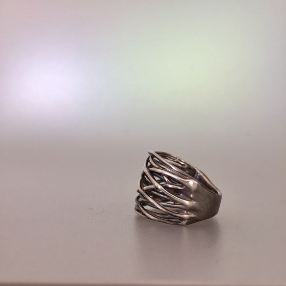 メッシュリング【SV999】 3枚目の画像