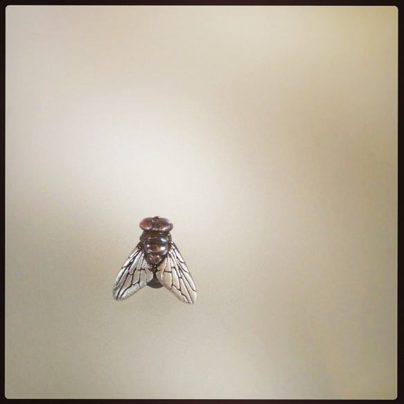 ハエバッジ 1枚目の画像