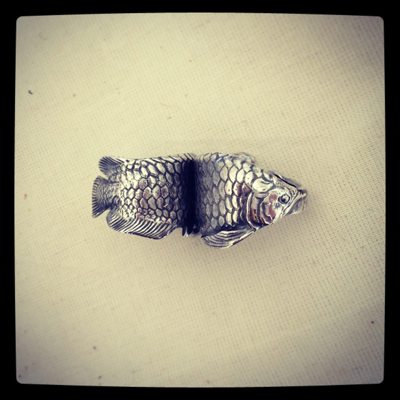 アロワナ・リング 1枚目の画像