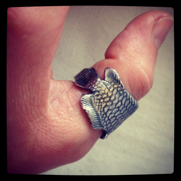 アロワナ・リング 3枚目の画像