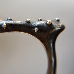 多肉植物リング（ユーフォルビアオンコクラータ）【SV925】 4枚目の画像