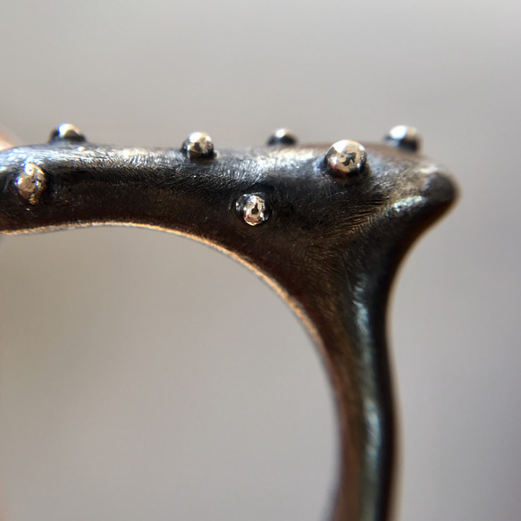 多肉植物リング（ユーフォルビアオンコクラータ）【SV925】 4枚目の画像