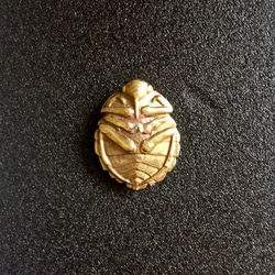 ナベブタムシバッジ 2枚目の画像