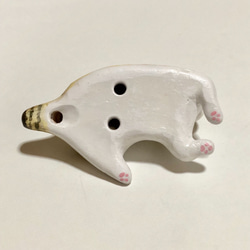 ネコリナ(猫のオカリナ)/dara キジ白 3枚目の画像