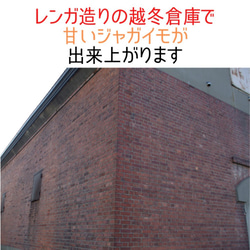 防災に　レトルト じゃがいも　もうゆでちゃった 6個入×4パック　5年賞味期限 / 北海道 無添加 ＢＢＱ 非常食 野菜 5枚目の画像