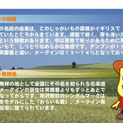 防災に　レトルト じゃがいも　もうゆでちゃった 6個入×4パック　5年賞味期限 / 北海道 無添加 ＢＢＱ 非常食 野菜 8枚目の画像