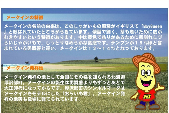 防災に　レトルト じゃがいも　もうゆでちゃった 6個入×4パック　5年賞味期限 / 北海道 無添加 ＢＢＱ 非常食 野菜 8枚目の画像