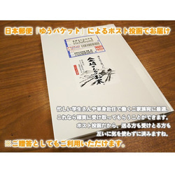 ポスト投函【送料無料】コシヒカリ600g(白米)・野沢菜油炒め(150g)セット 2枚目の画像