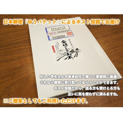 ポスト投函【送料無料】ギフトセット「コシヒカリ白米450g(3合)・キヌヒカリ450g(3合)」 5枚目の画像