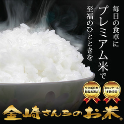 ポスト投函【送料無料】ギフトセット「コシヒカリ白米450g(3合)・キヌヒカリ450g(3合)」 6枚目の画像