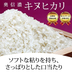 ポスト投函【送料無料】ギフトセット「コシヒカリ白米450g(3合)・キヌヒカリ450g(3合)」 8枚目の画像