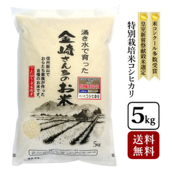 【送料無料】コシヒカリ5kg(白米) 1枚目の画像