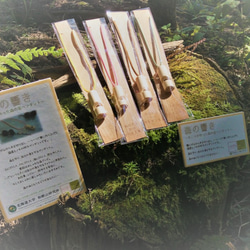『森の響き〜木こりが作った木の呼子〜』(紀州ヒノキの笛ペンダント) 1枚目の画像