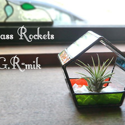 “膠玻璃容器設置的”空氣的植物彩色玻璃 第2張的照片