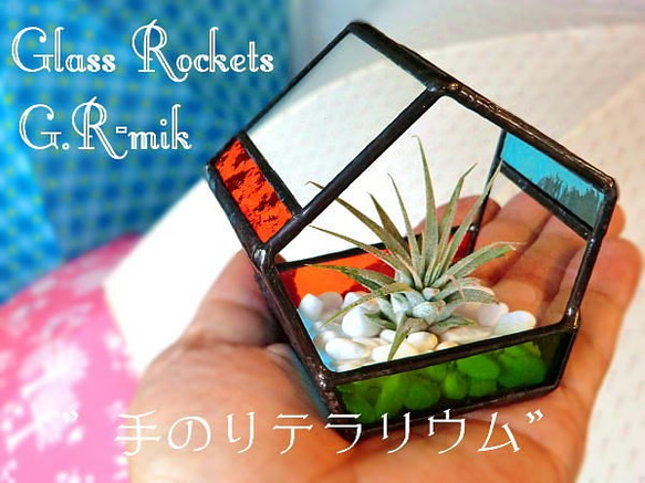 てのり テラリウム セット　エアプランツ ステンドグラス 3枚目の画像