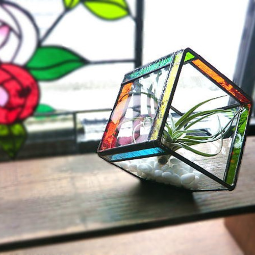 テラリウム CUBE エアプランツ セットエアプランツ付き テラリウム  